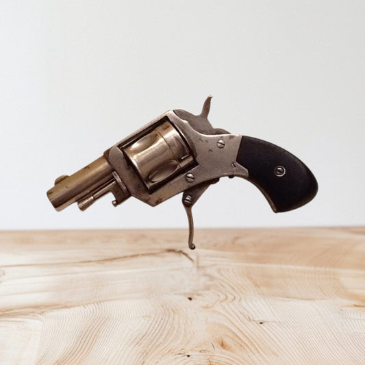 Belgian Pocket Revolver (Puppy)