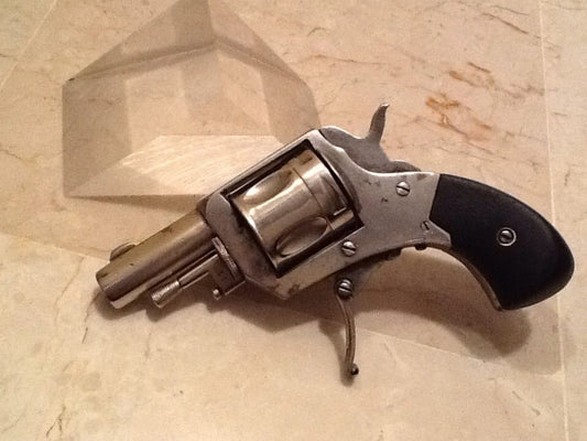 Belgian Pocket Revolver (Puppy)